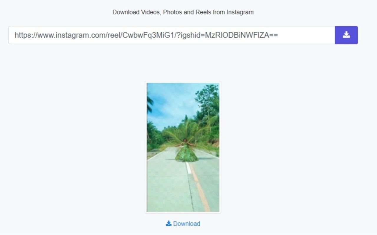 download ig story online