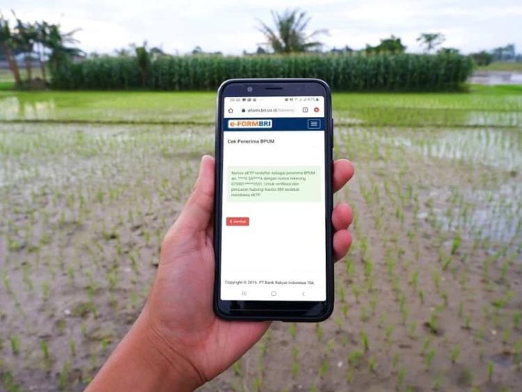 Cara Cek Penerima BPUM E-Form BRI 2023
